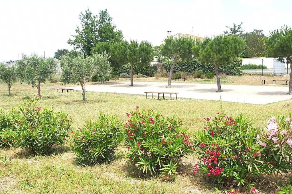 Un Bol D'Air Frais Et De Soleil Entre Campagne Et Plage Villa Beziers Luaran gambar